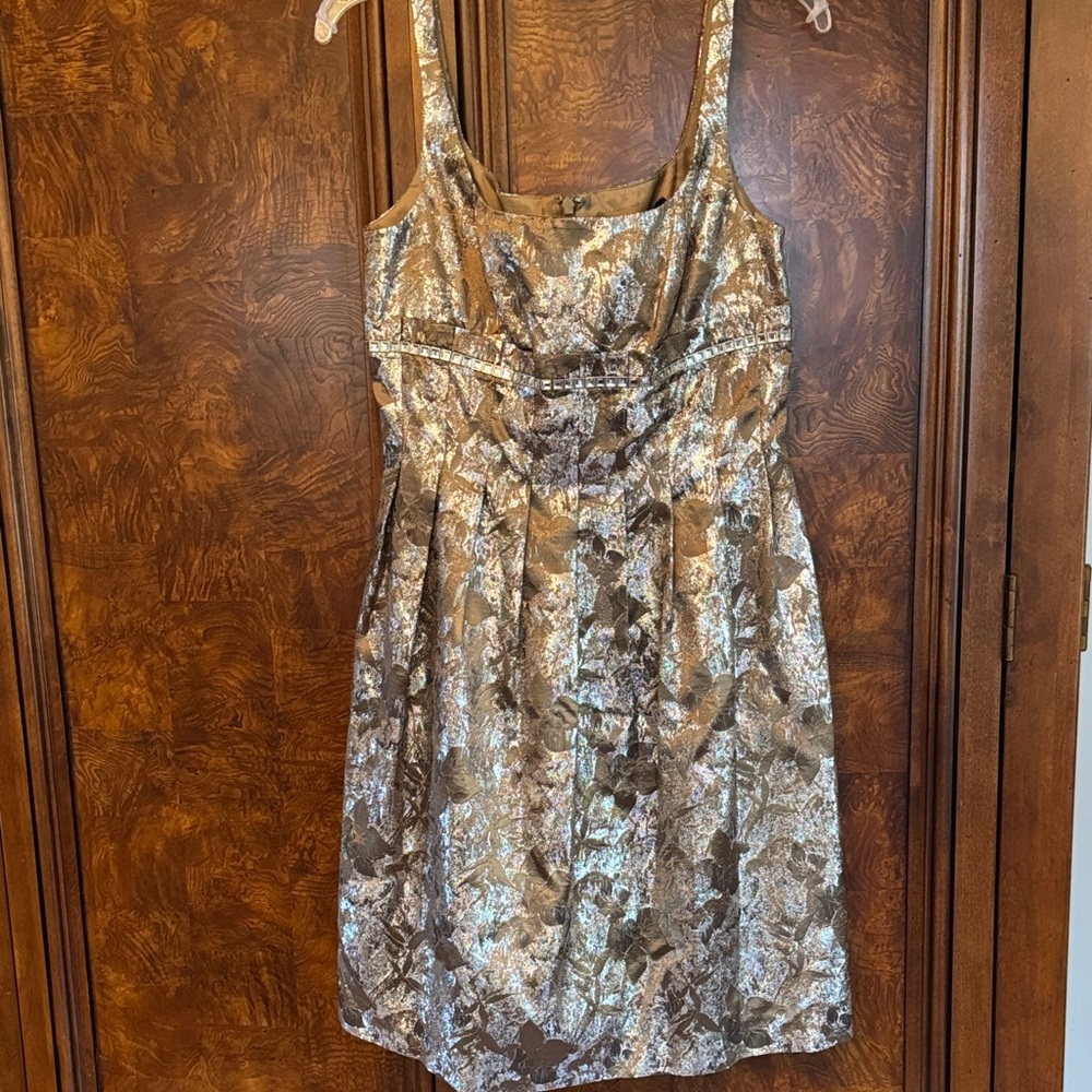 Metallic embellished Dress